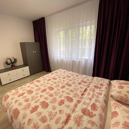 Grove Apartment Buzău Zewnętrze zdjęcie